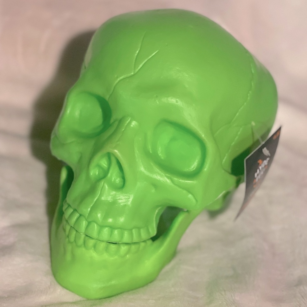 Plastic Skull 💀